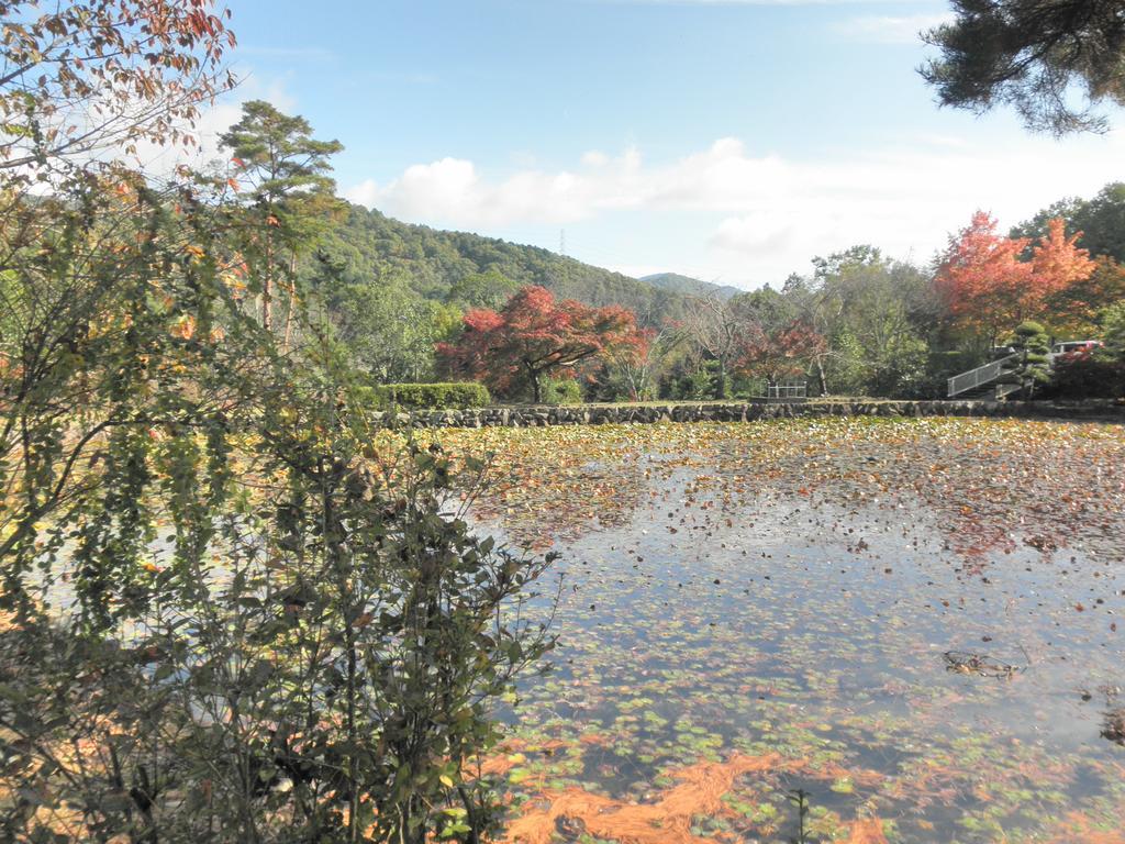 Maple Inagawa Hotel Kawabe  Bagian luar foto