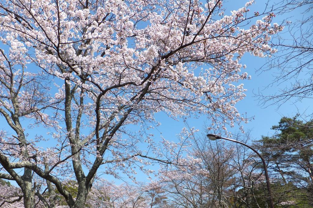 Maple Inagawa Hotel Kawabe  Bagian luar foto